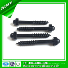 Customized Made Black Screw Bolt